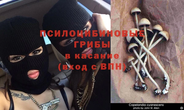 эйфоретик Абдулино