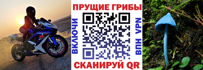 мега tor  наркошоп  Краснодар  Галлюциногенные грибы Magic Shrooms 