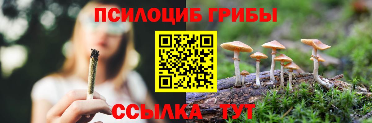 Псилоцибиновые грибы Psilocybe  Вход с VPN  Галлюциногенные грибы ЛСД  Краснодар 