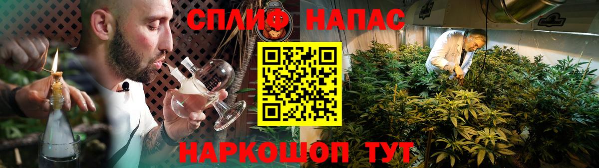 Бошки Шишки ГИДРОПОН  Конопля конопля  Вход с VPN  Каннабис Ganja  Краснодар  Шишки марихуана план 